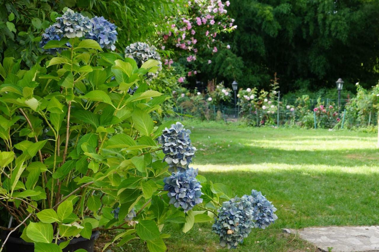 Bed and Breakfast Le Moulin De La Planche Cerelles Exterior foto